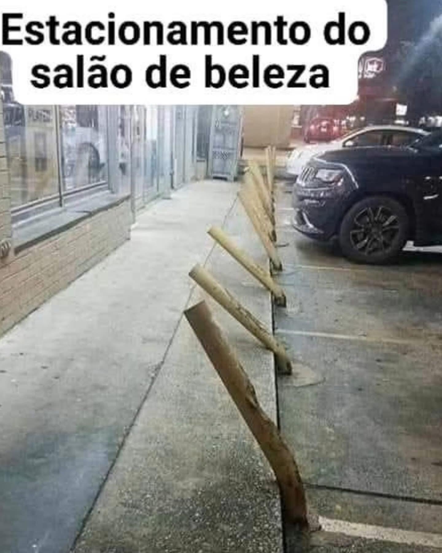 #Memes #NostrBR #DaviPinheiro