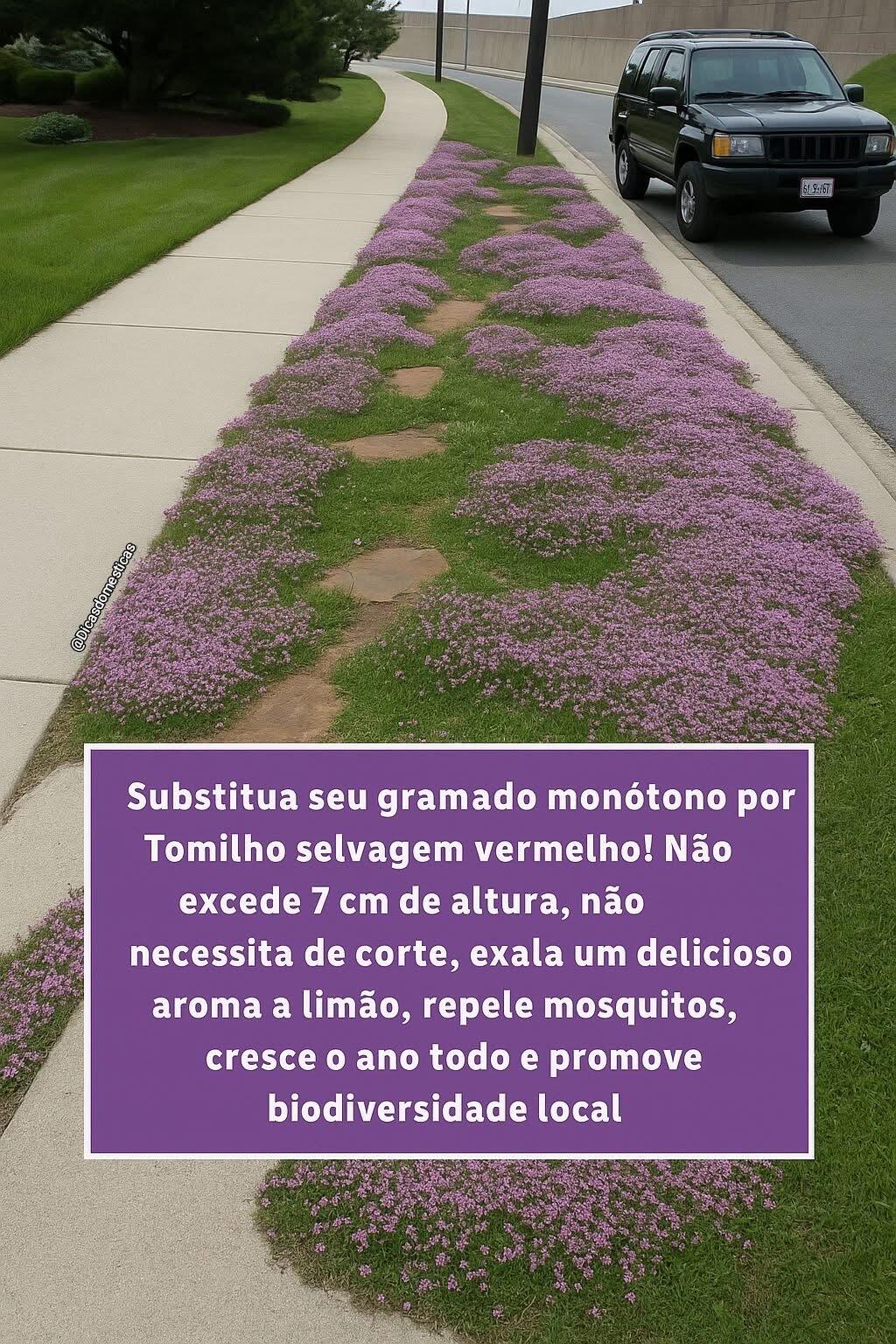 Vendo grama cor de rosa pra…