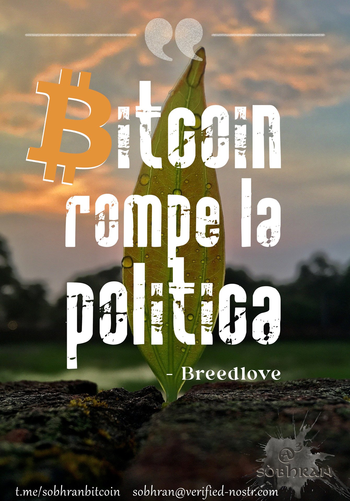 #Bitcoin rompe la politica.