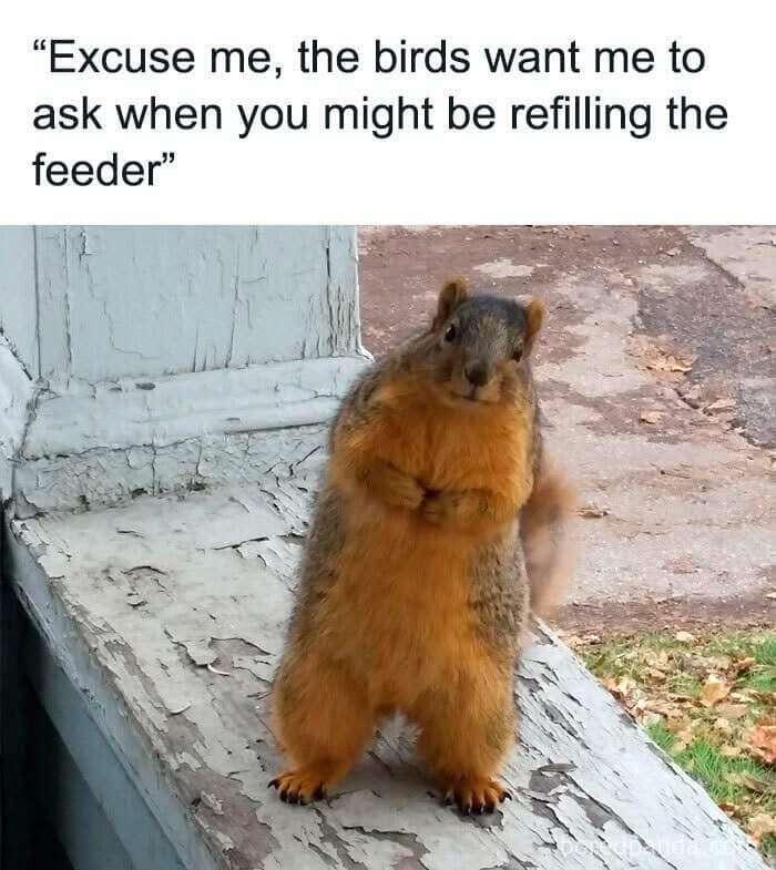 #Meme