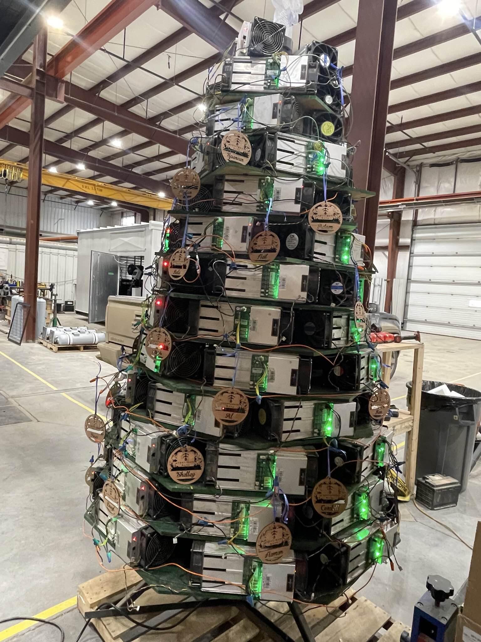 The Bitcoin Plebs' Tree 🧡