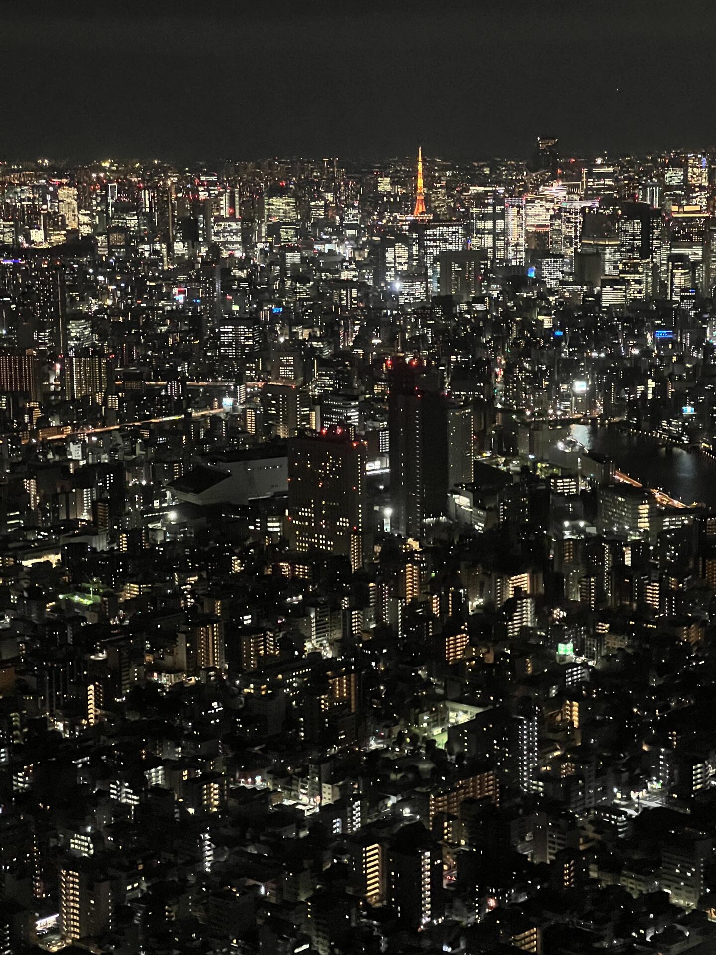 View from the Tokyo SkyTree at…