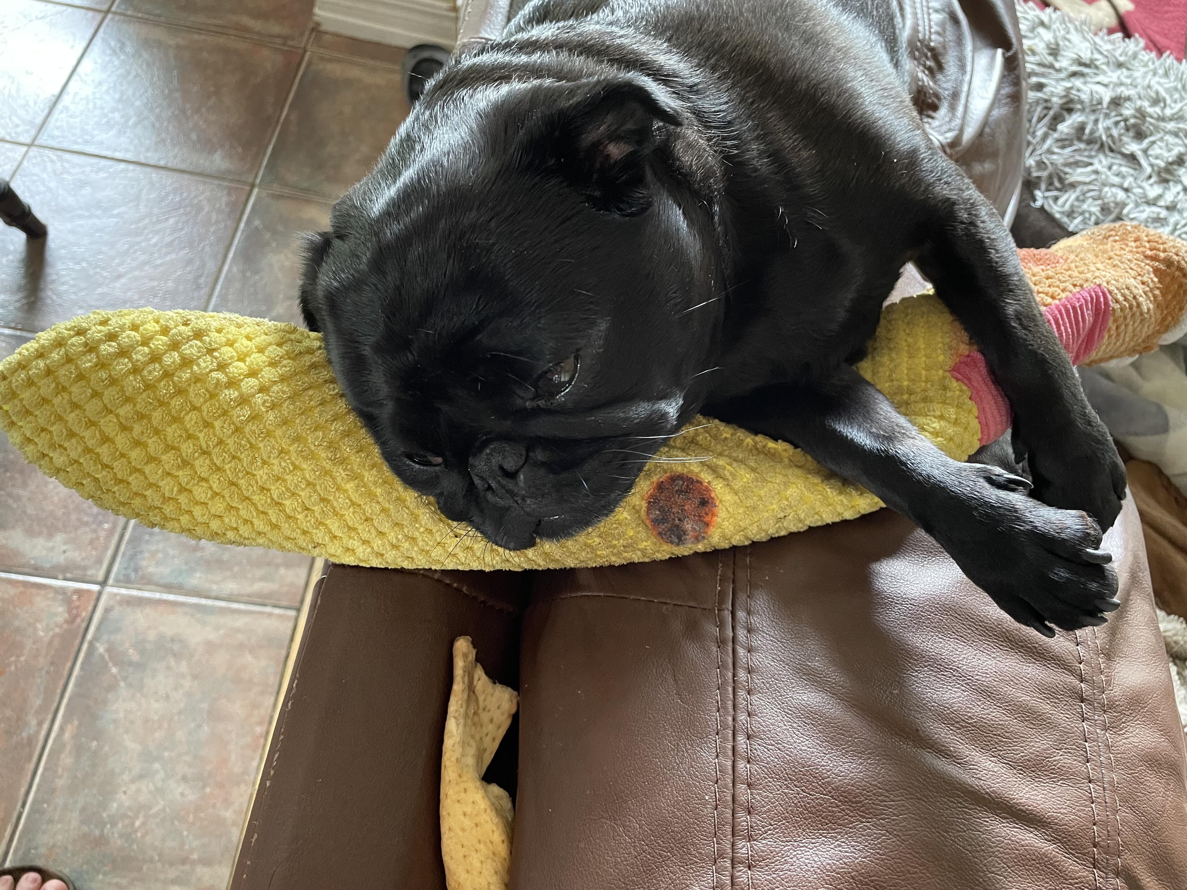 Good Afternoon from the #npug