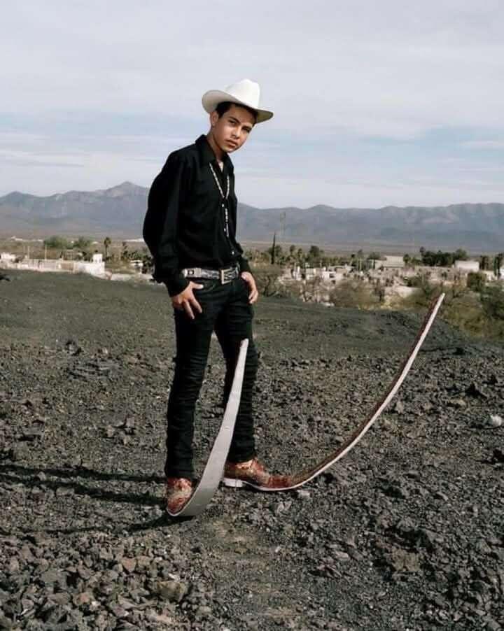 🖼️