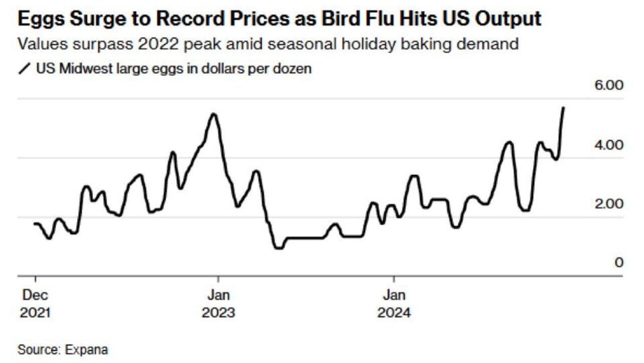 Gonna get some chickens and HODL…