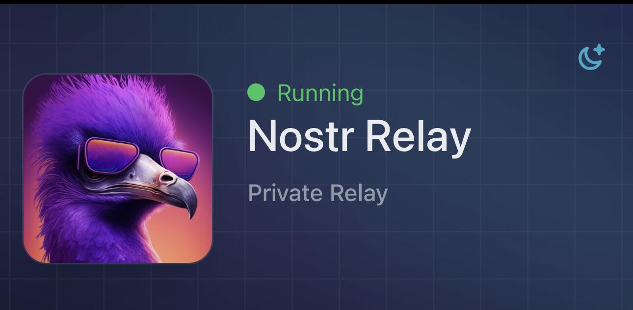 Running #Nostr Relay 💜😌