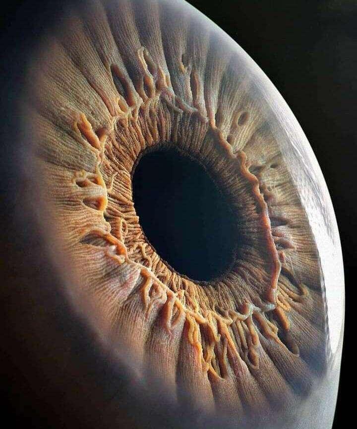 Close up of an #eye