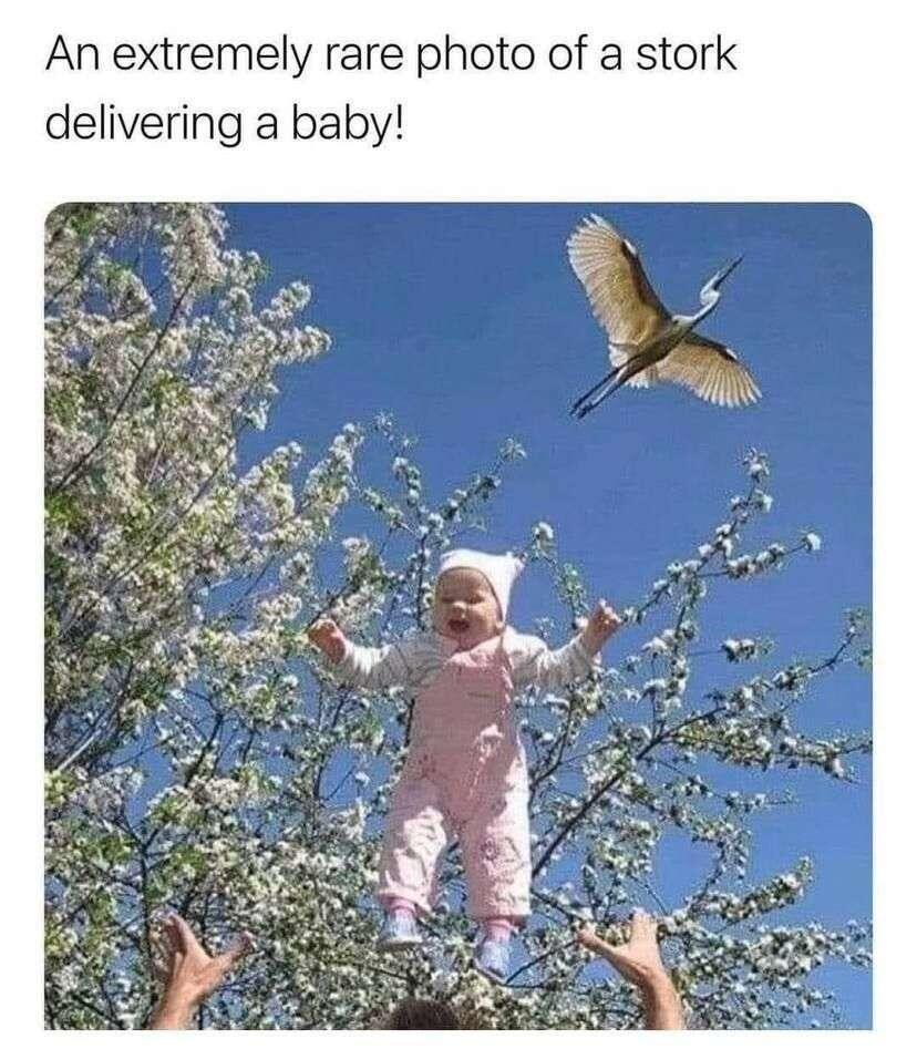 #Meme