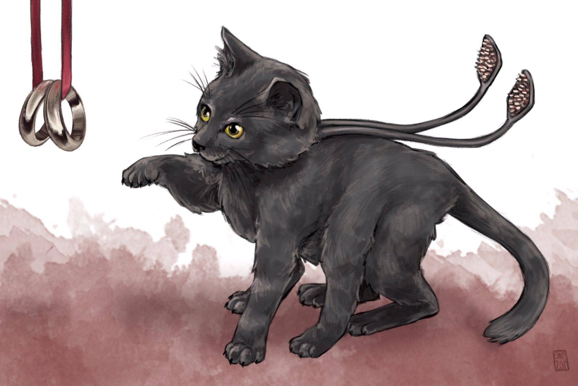 Displacer Kitten Image