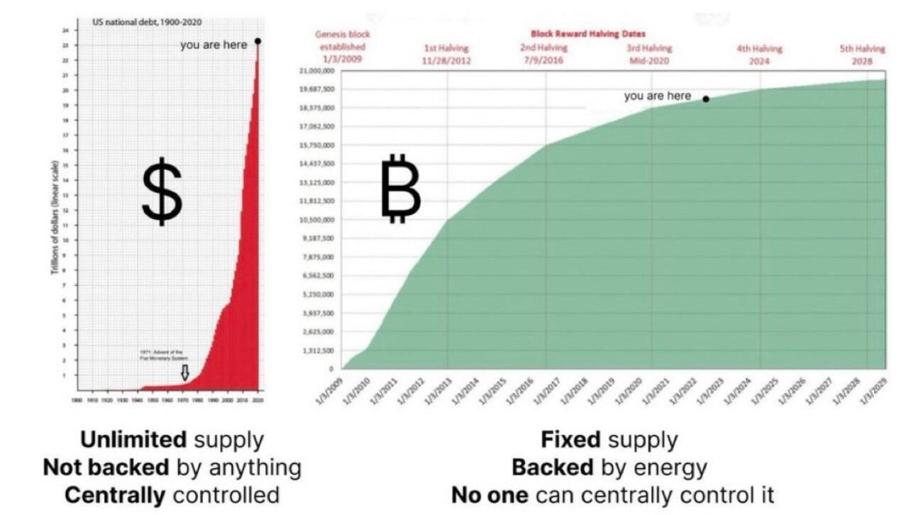 But #Bitcoin is the Ponzi.