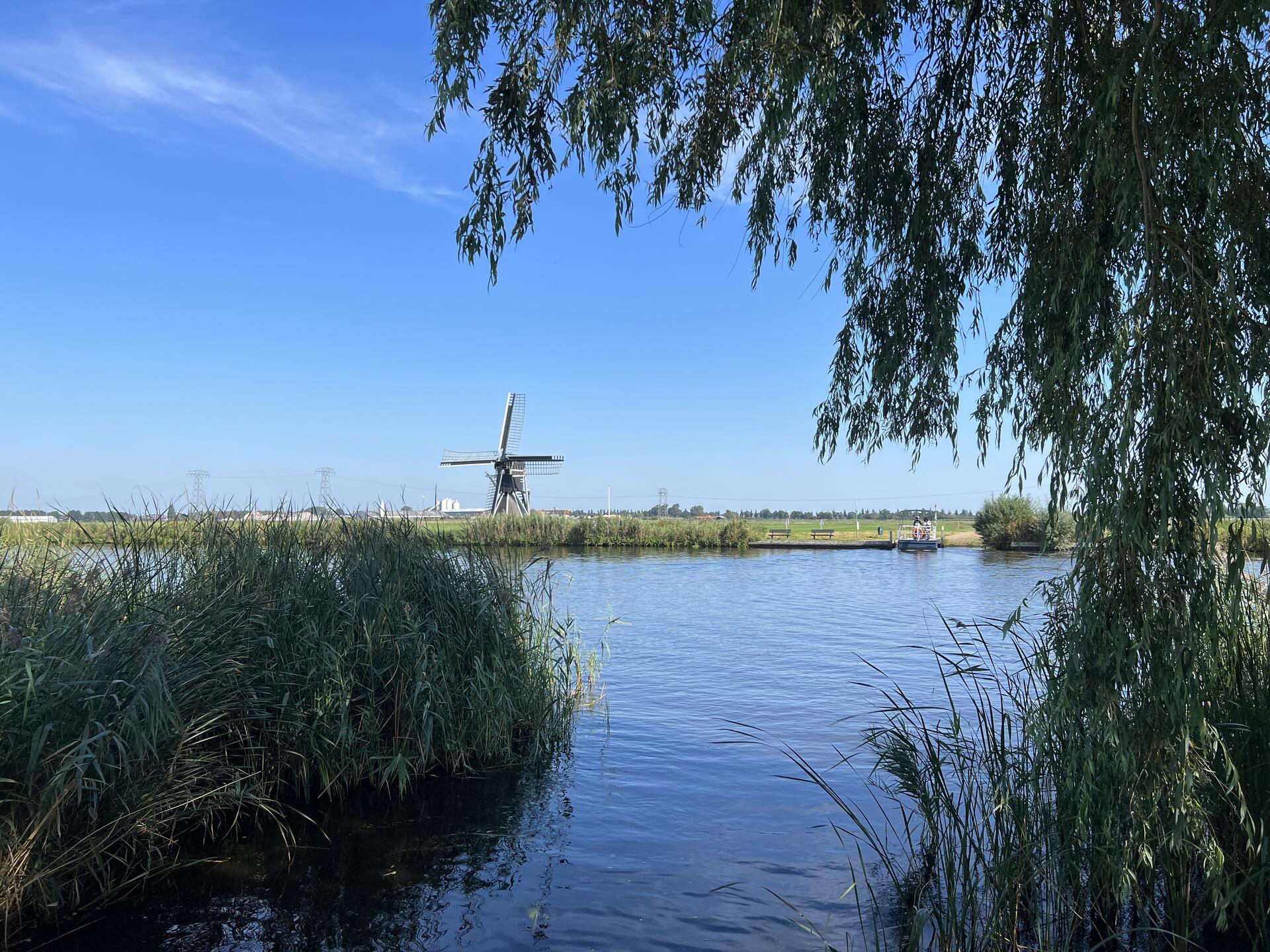 Cycling 🚴‍♂️in my home province Friesland…