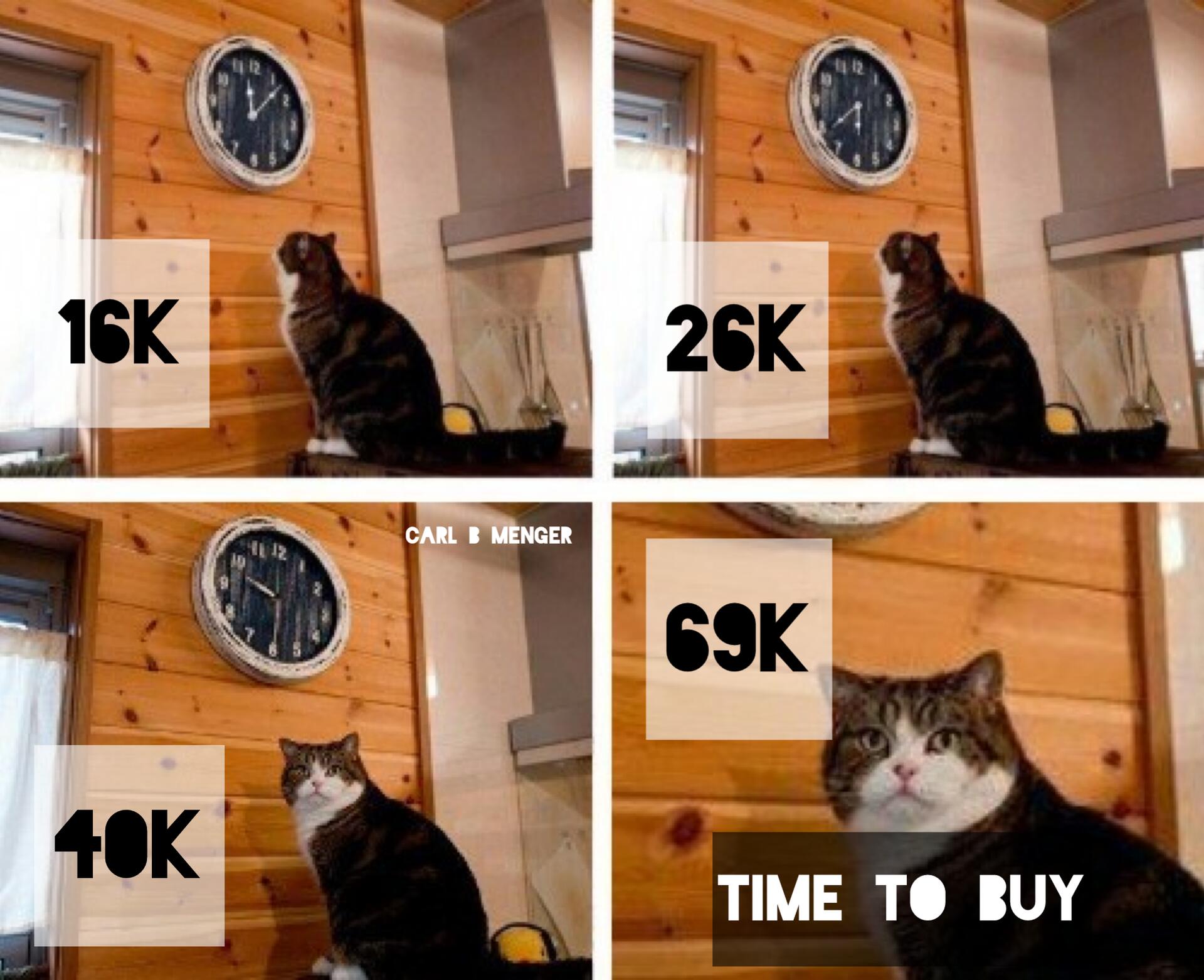 Me timing the #Bitcoin market.