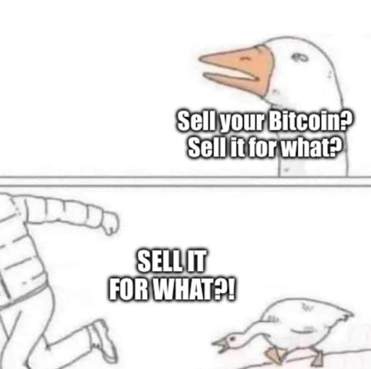 Sell it for what? #Bitcoin