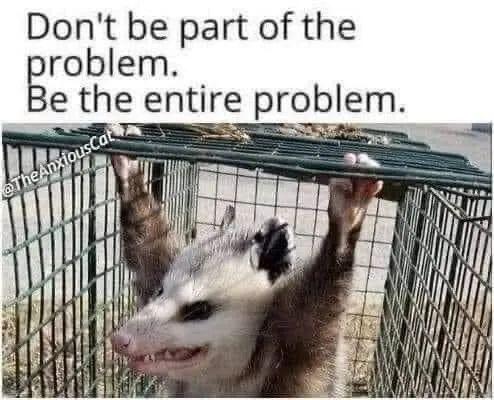 #GM ☕🫡🏴☠️