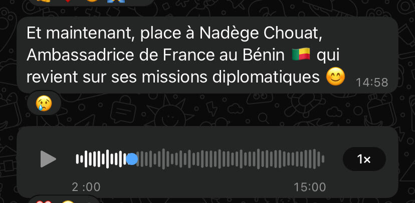 Lien Nadège Chouat, Ambassadrice de France…