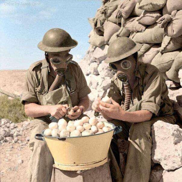 British soldiers peel onions while wearing…