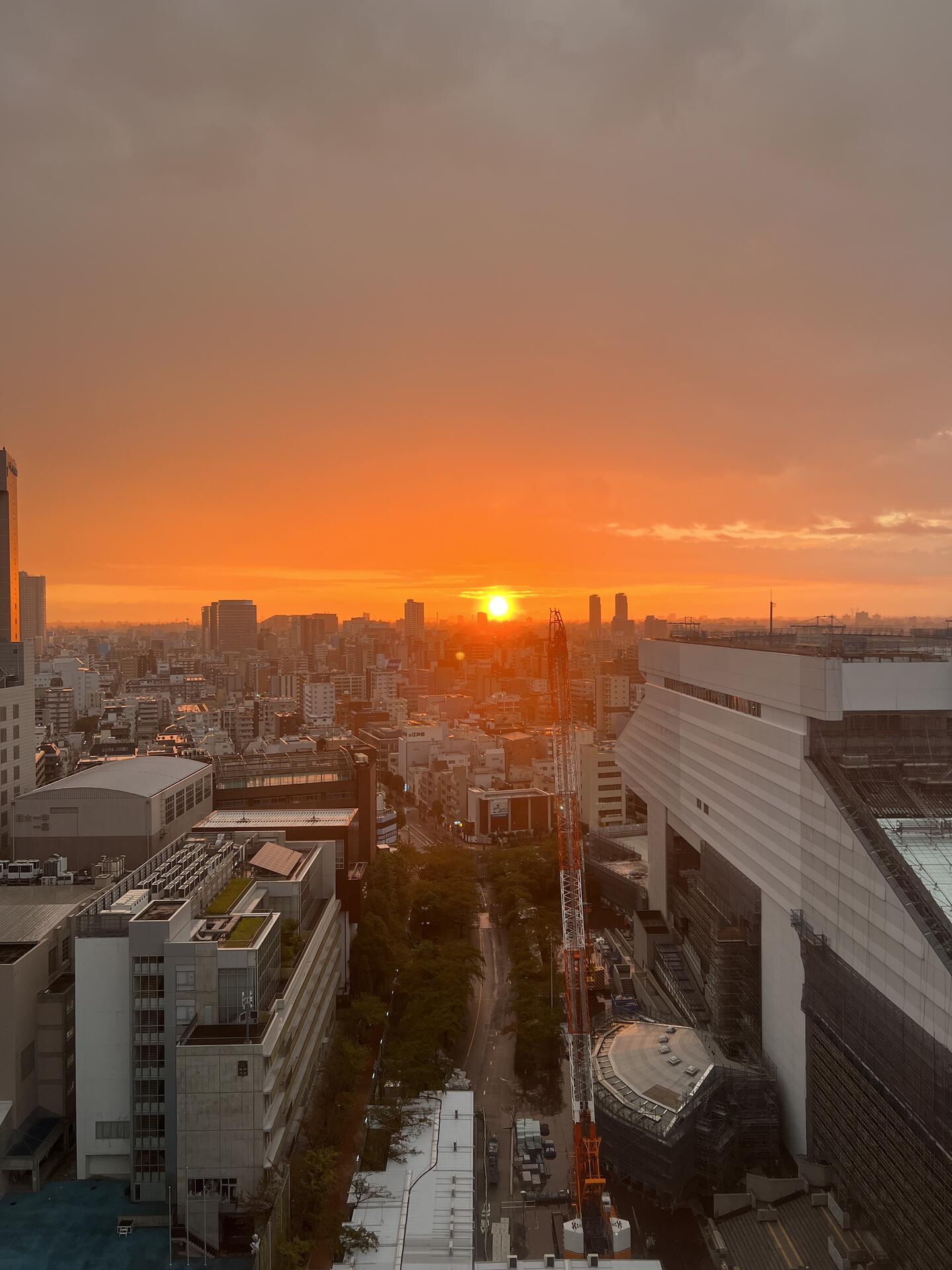 #nostrasia Tokyo Sunrise 🇯🇵 #nostr