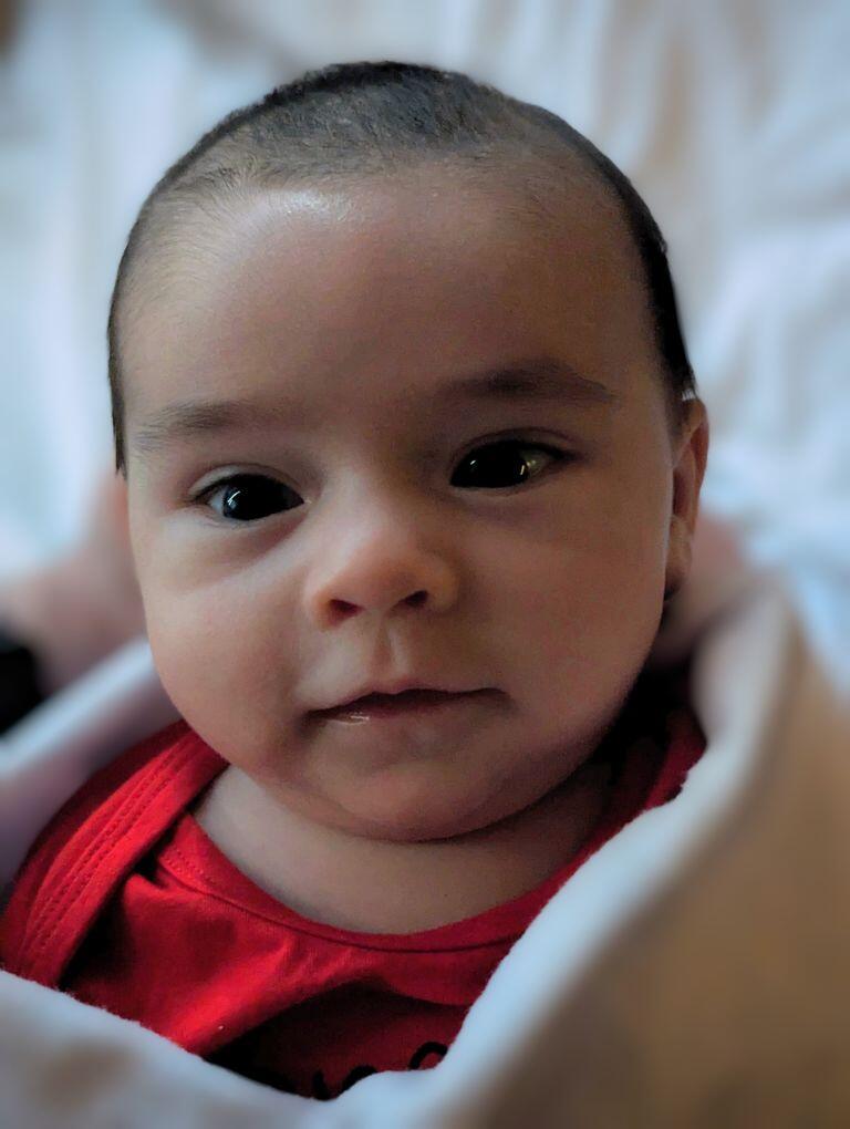 My boy is 8 weeks #introductions…