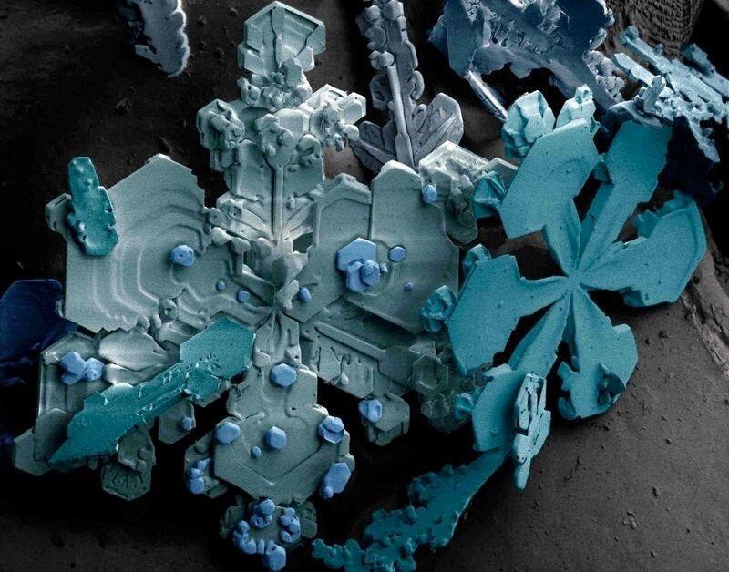 #Snowflakes under a #Microscope