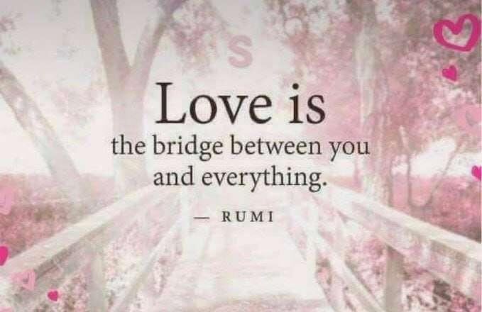 True words #nostrich