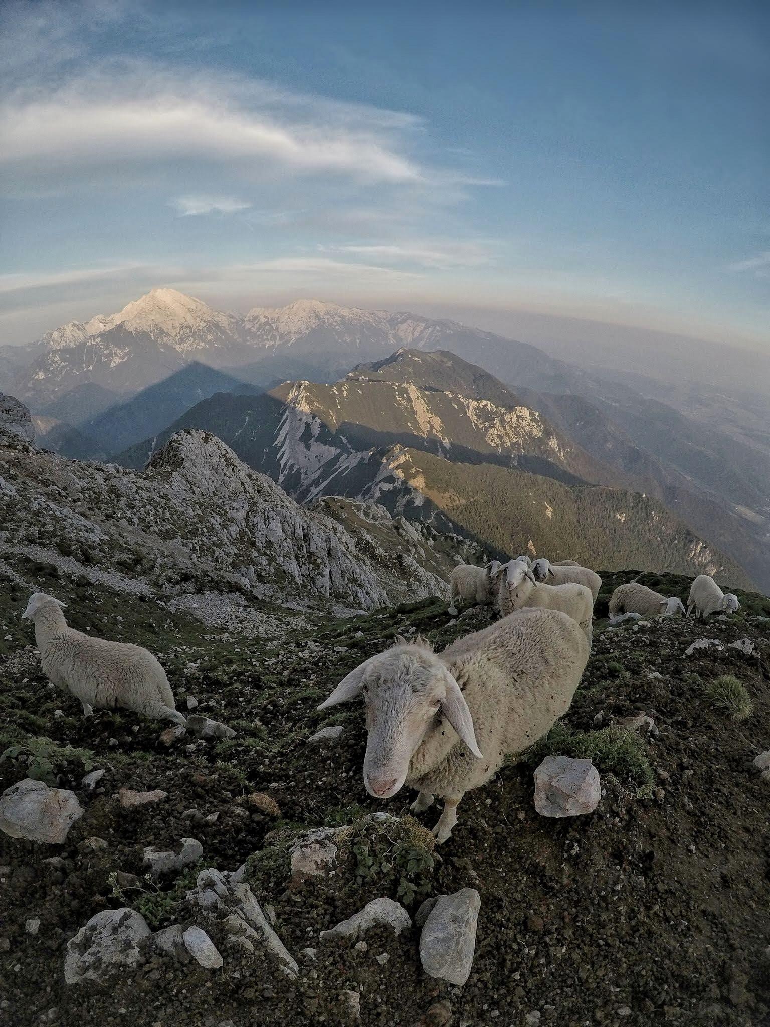 Happy international mountain day 🏔️ y'all.