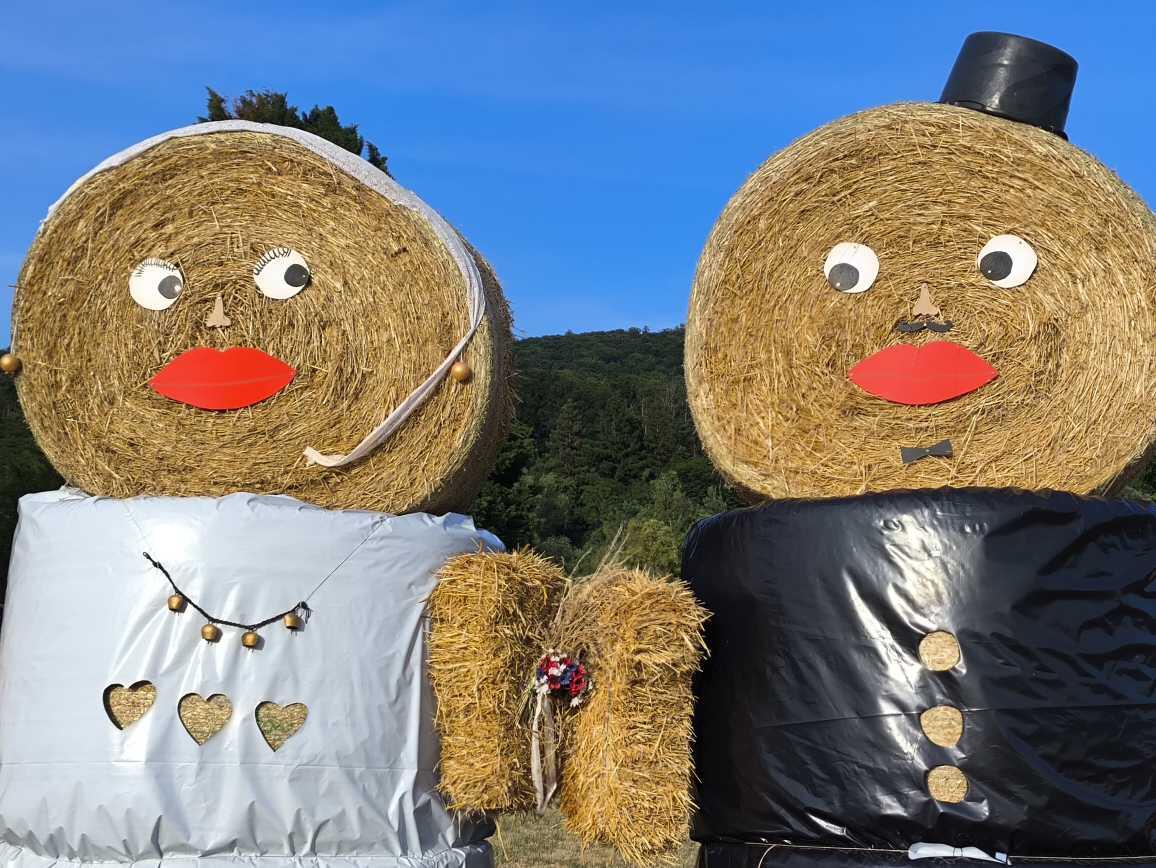 Met this happy couple today. #lovestr