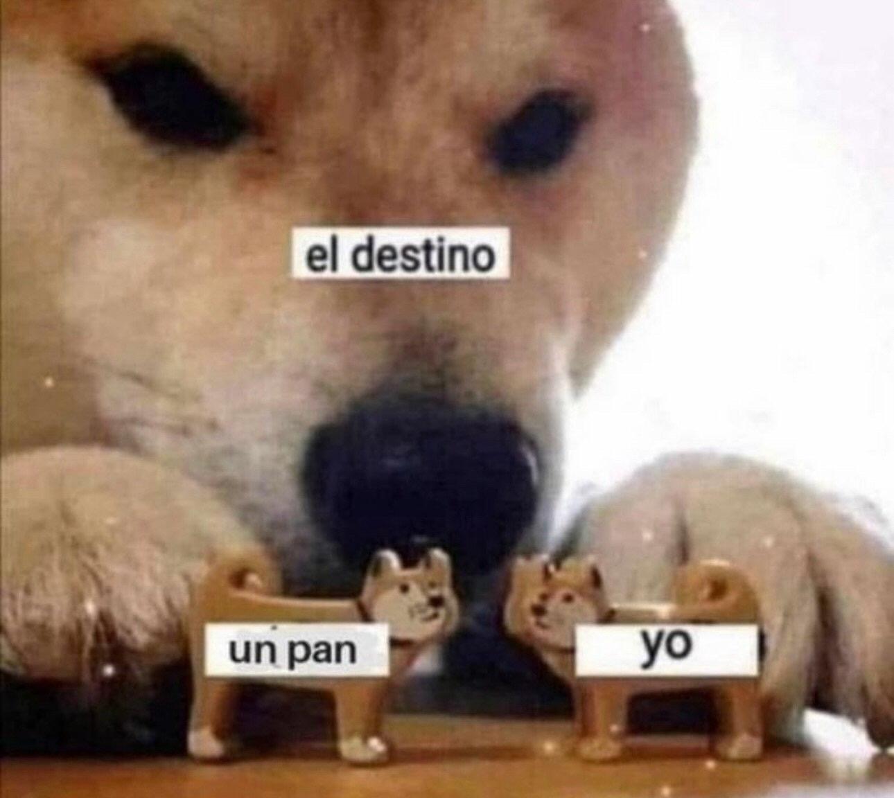 Es el destino 😌