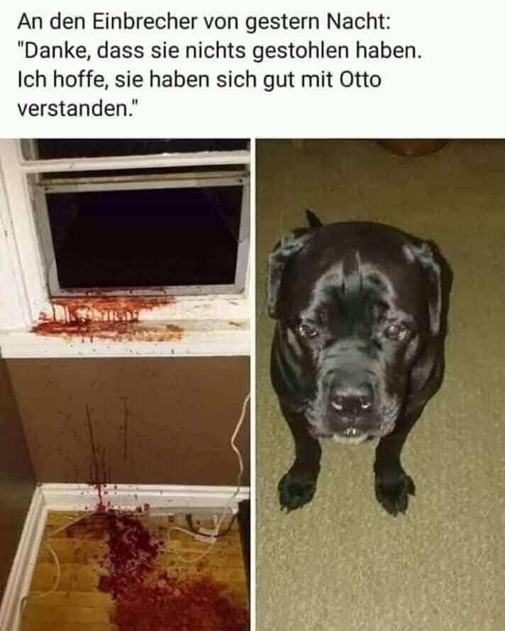 #Meme