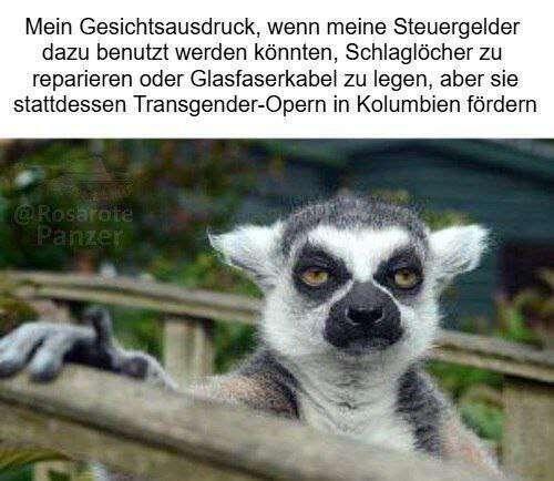 #Meme