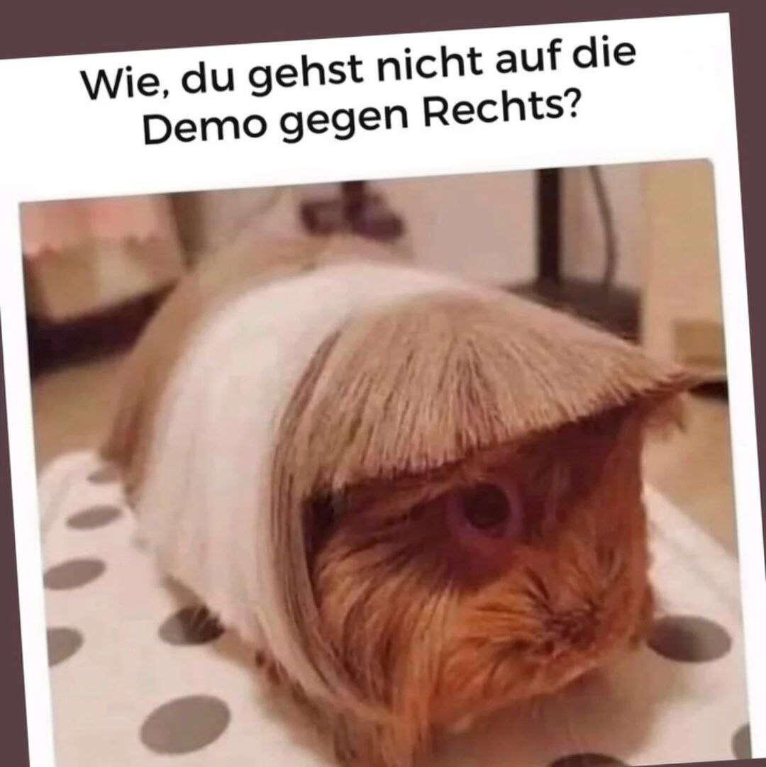 #Meme