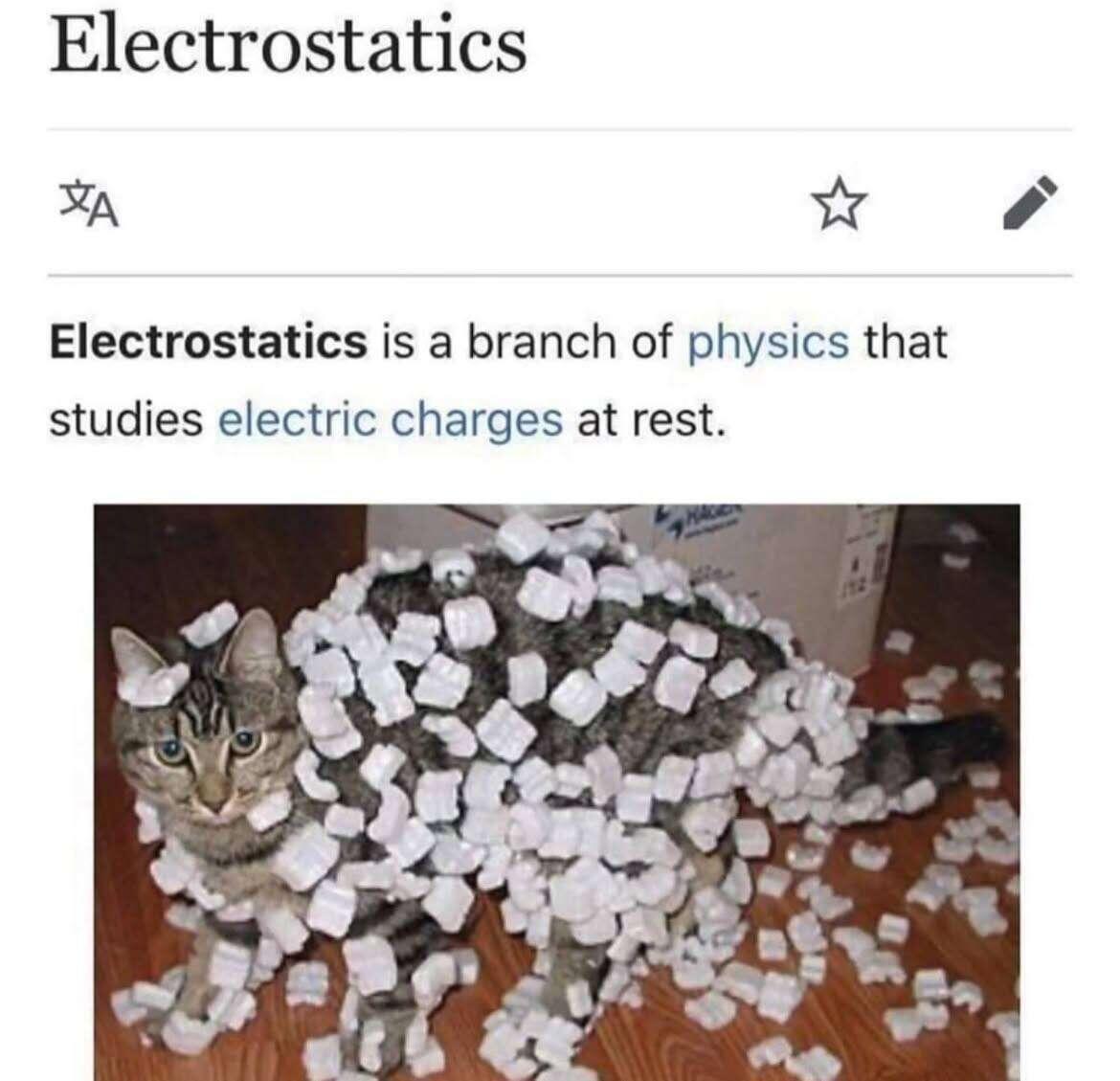 #cat #catstr