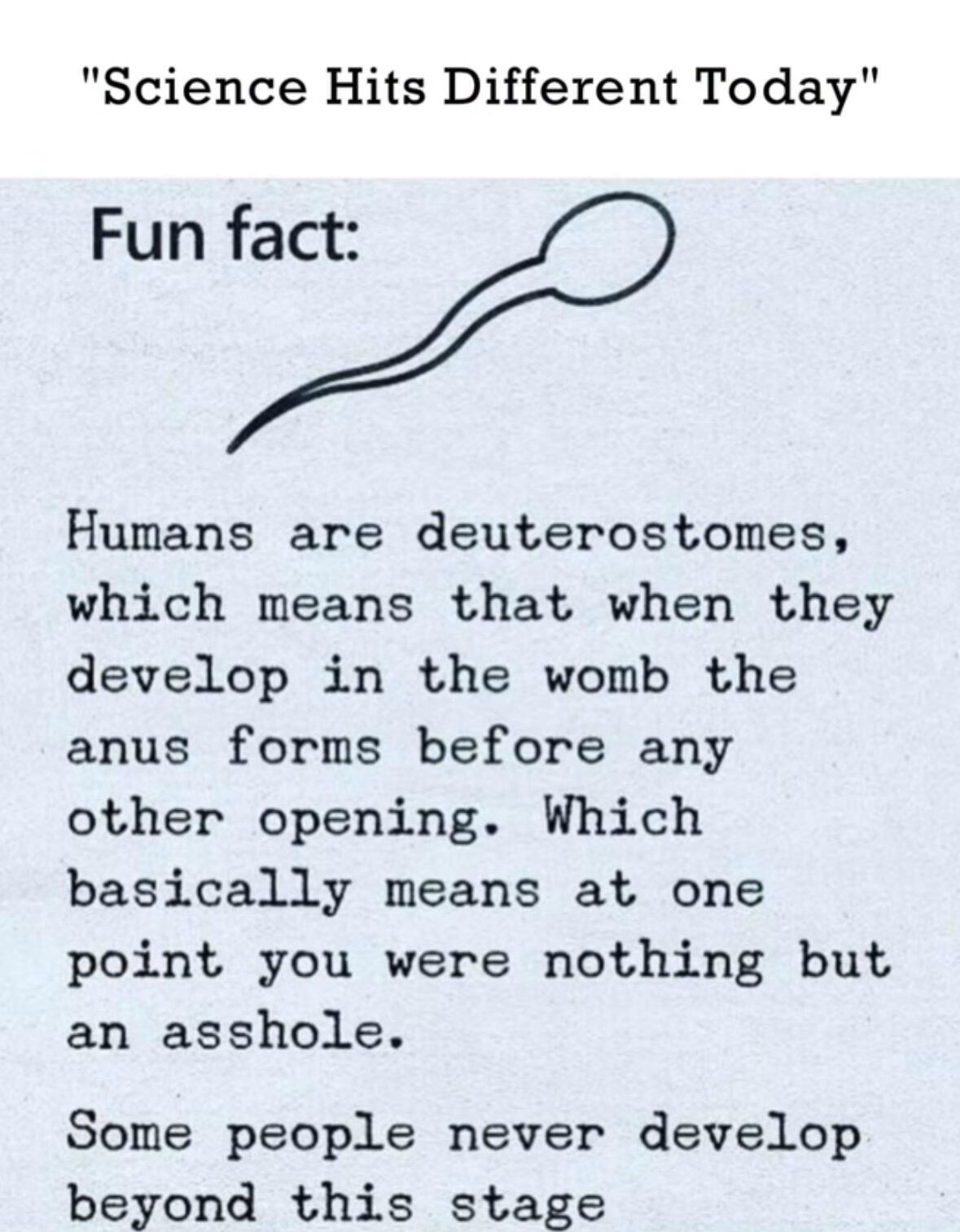 🖼️