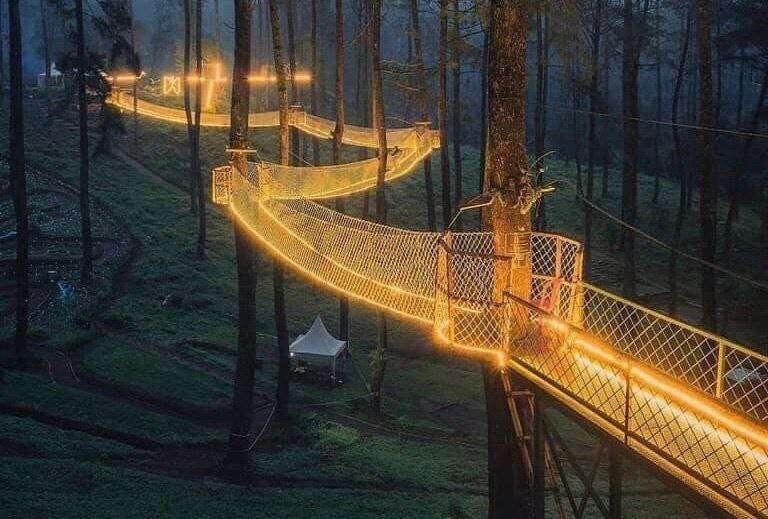 TreeTop Skywalk in Tennessee