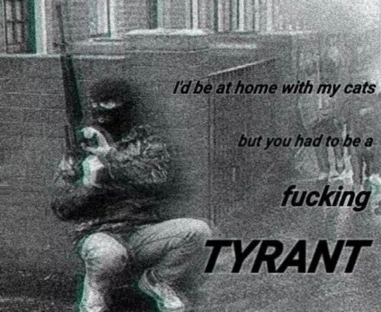 😼🏴‍☠️