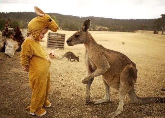 #kangaroo #child
