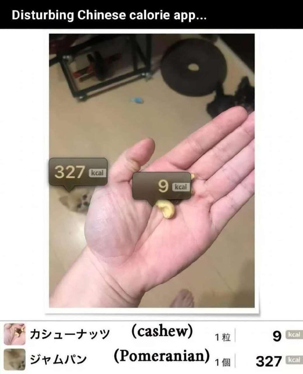 #Meme