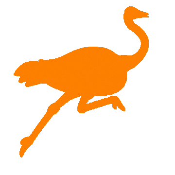 :orange: