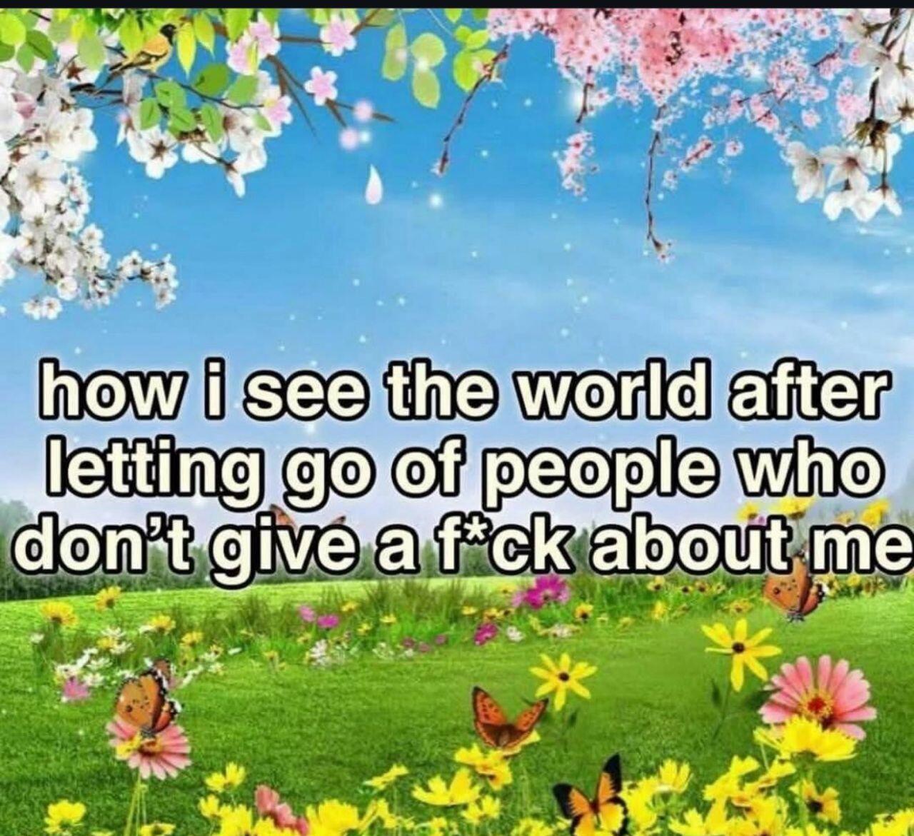 🖼️