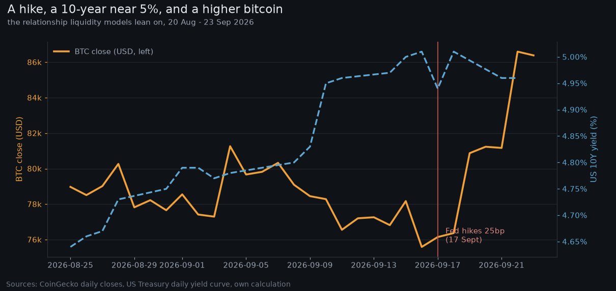 Cover image for The Indicator Blinks