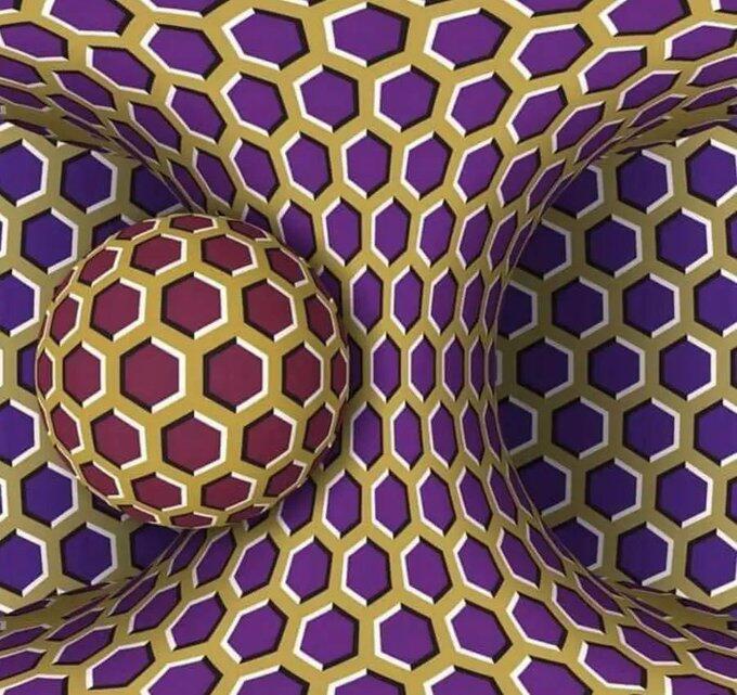 Optical Illusion 👀