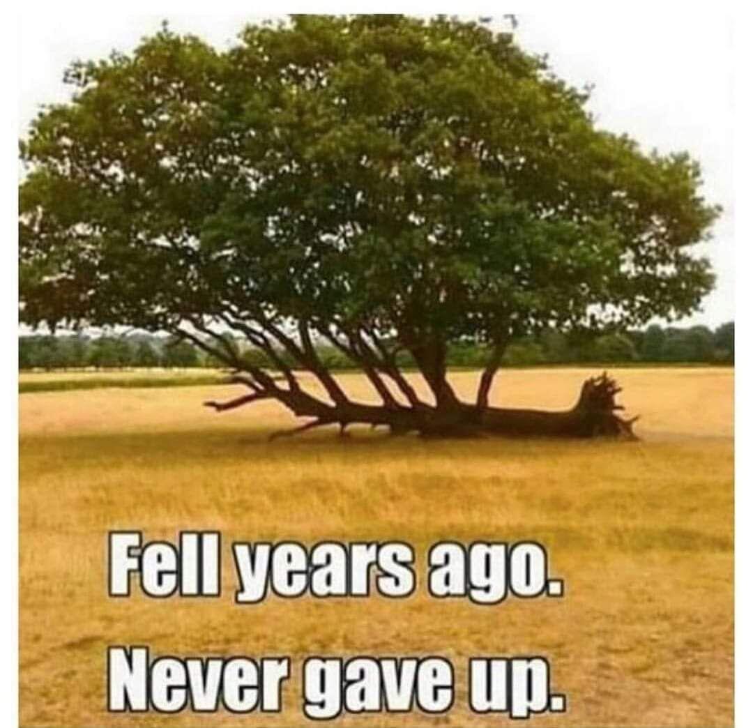 Never Give Up.