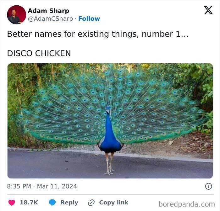 #Meme