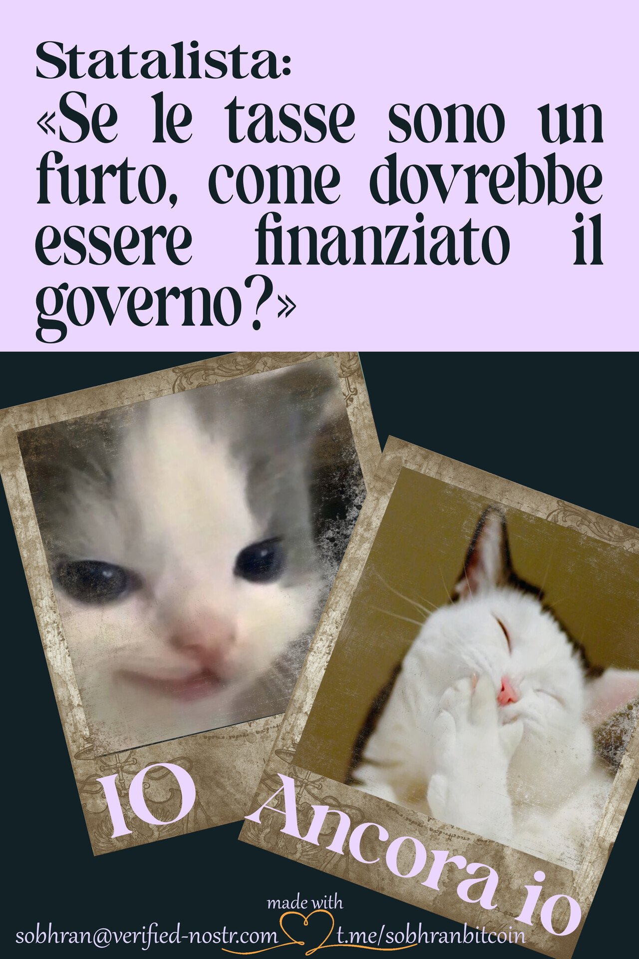 #meme #memestr #catstr #tasse #furto #statalisti