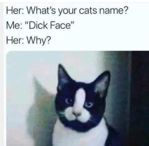 #Meme