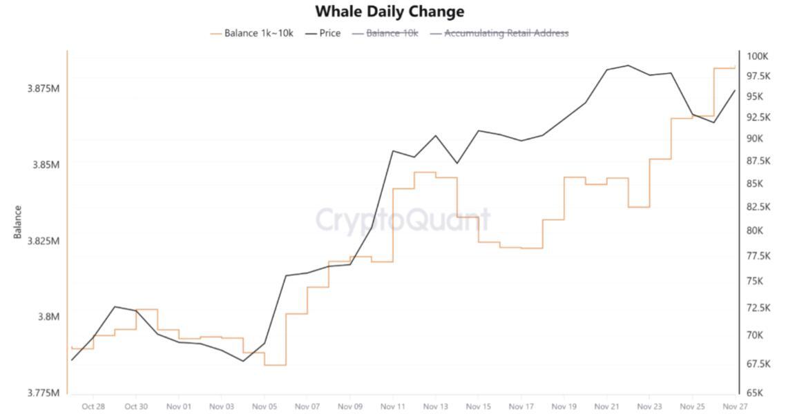 Whales Take Advantage and Accumulate $1.…