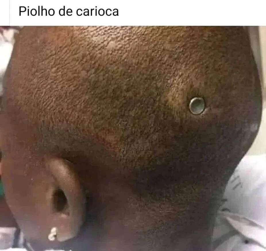 #Memes #NostrBR #DaviPinheiro