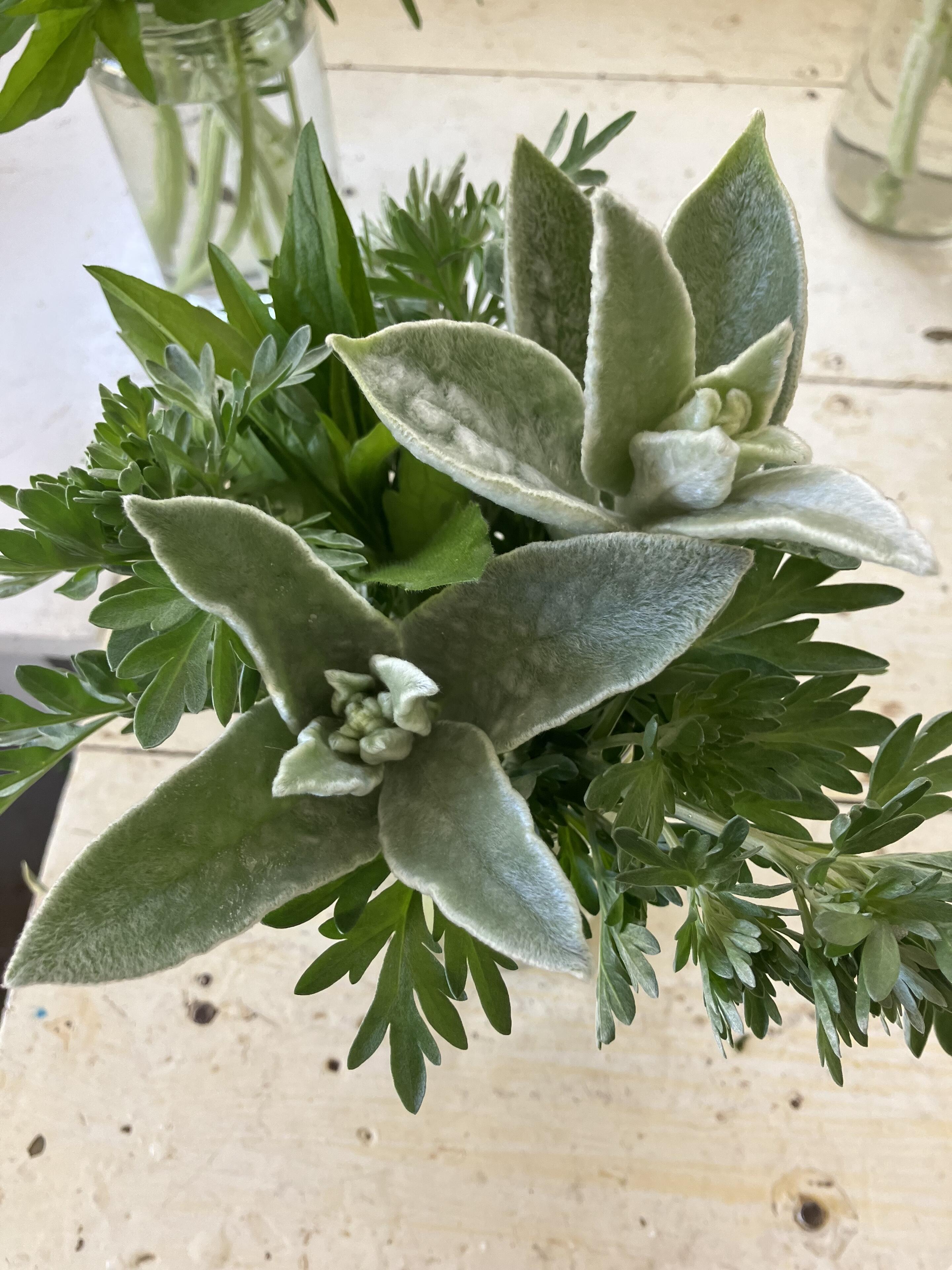 Its just greenery but its the…