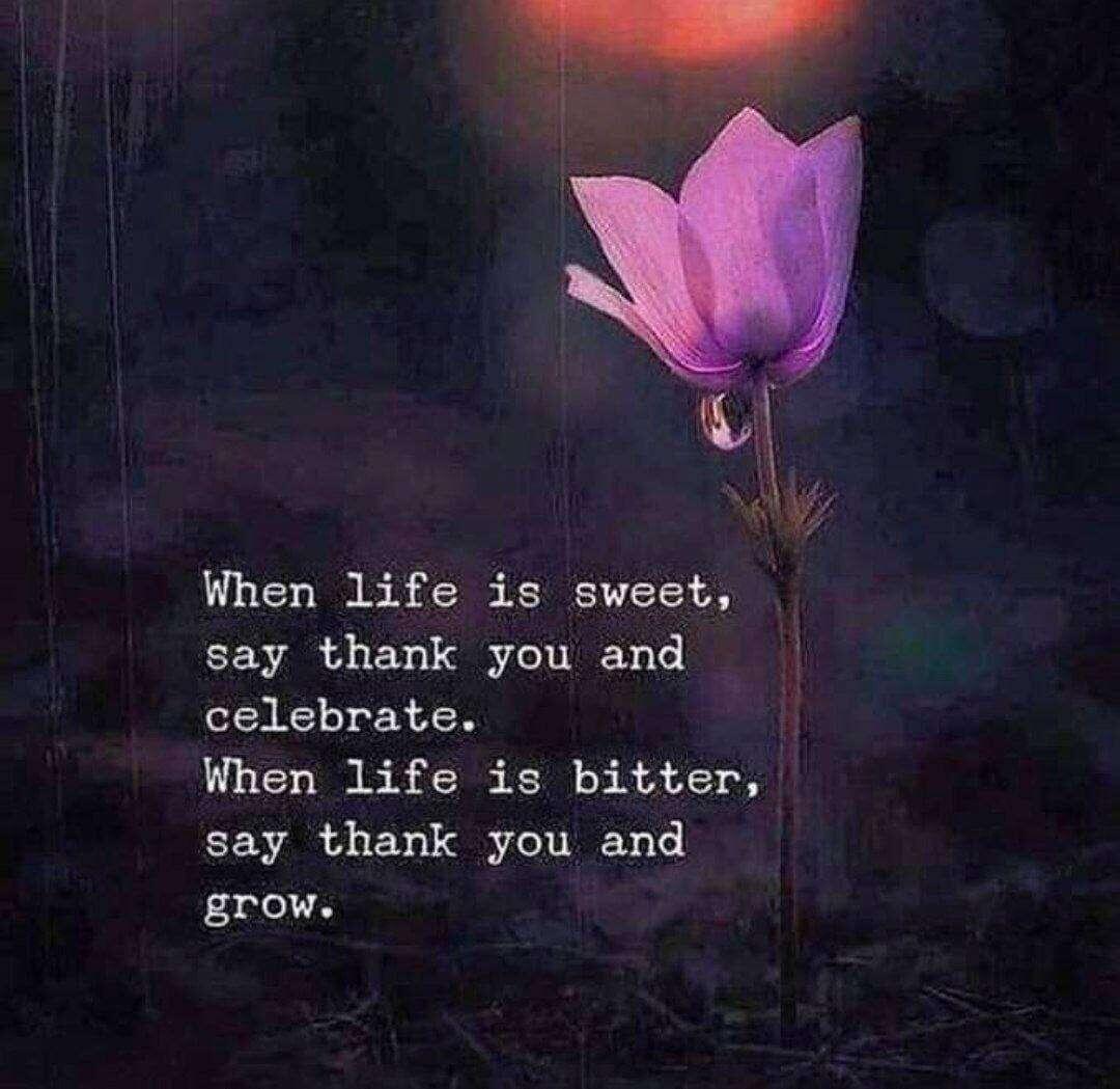 Good Morning #Bitcoiners and #Nostrichs