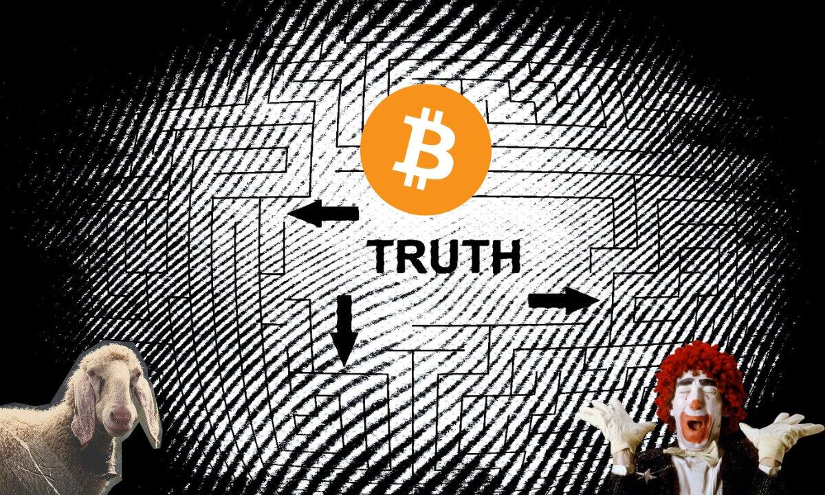 Cover image for When the World Went Mad, Bitcoin Kept Me Sane: A Story of Betrayal and Redemption