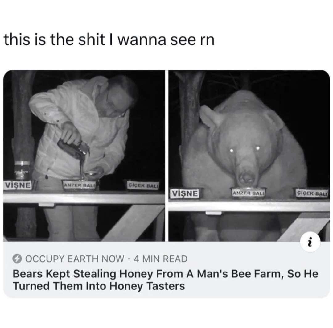 #Meme